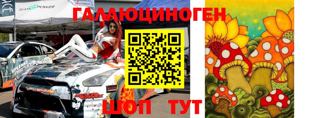 Галлюциногенные грибы Psilocybine cubensis Чапаевск