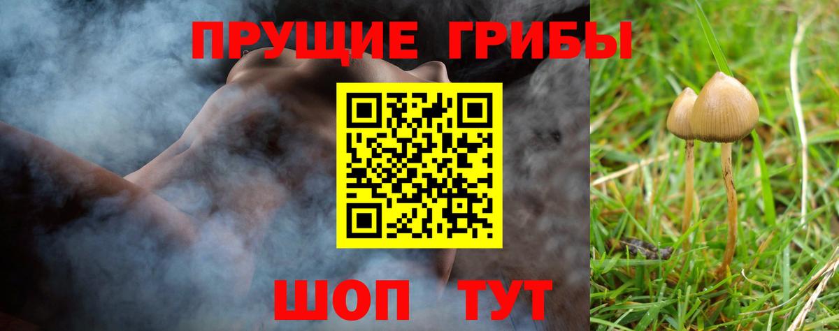 где продают наркотики  Псилоцибиновые грибы Magic Shrooms  Вход с VPN  Чапаевск 